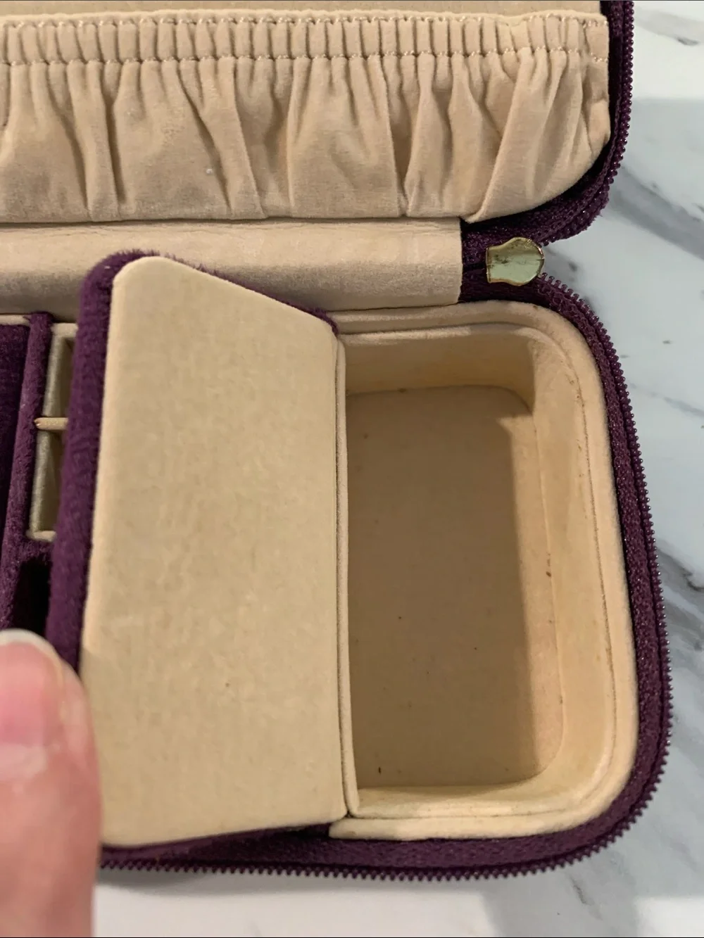 N/A compact plum